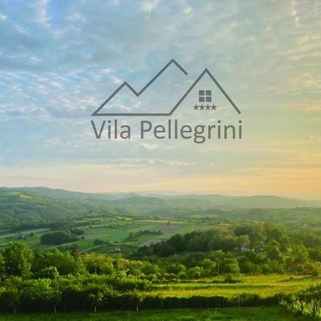 Vila Pellegrini Arandjelovac Exteriör bild