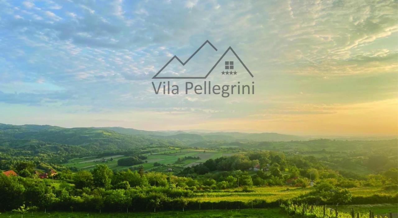 Vila Pellegrini Arandjelovac Exteriör bild
