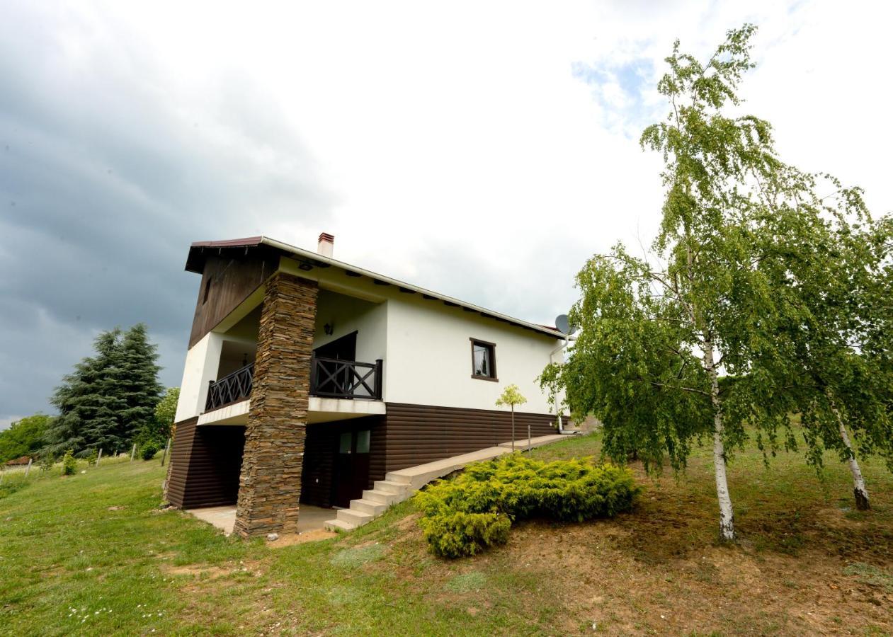 Vila Pellegrini Arandjelovac Exteriör bild