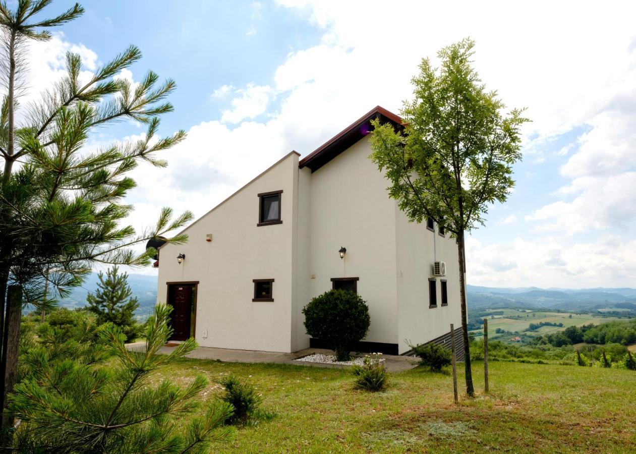 Vila Pellegrini Arandjelovac Exteriör bild