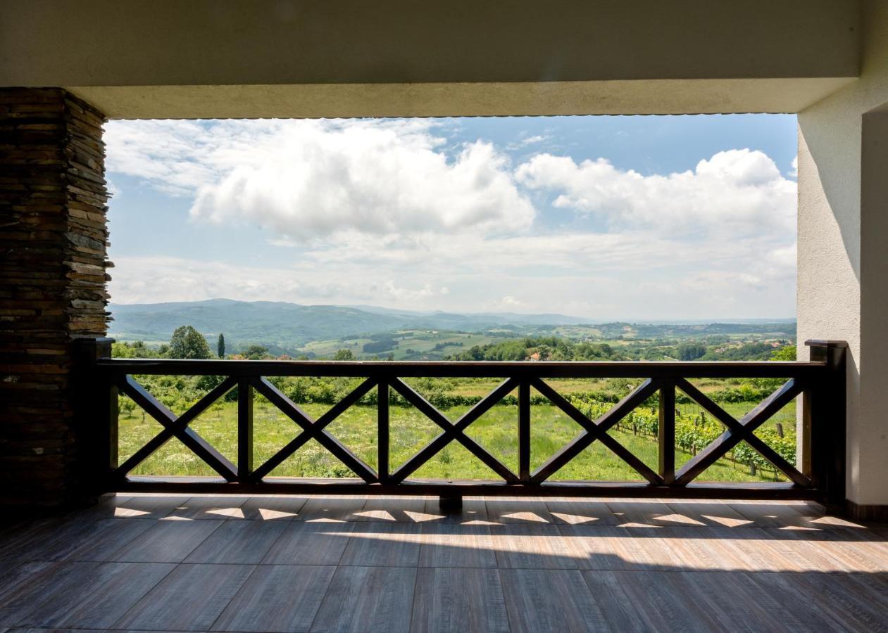 Vila Pellegrini Arandjelovac Exteriör bild